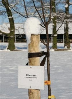 Winterliche Impressionen